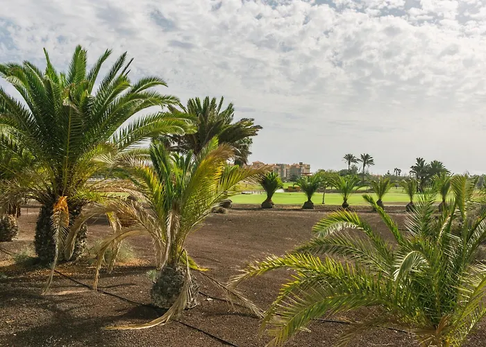 Casa Africa * 칼레타데푸스테