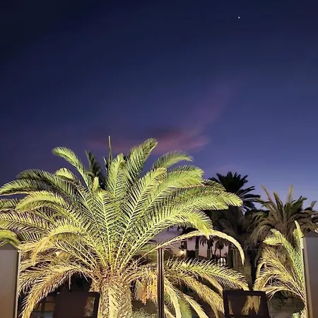 Casa Africa فيلة *